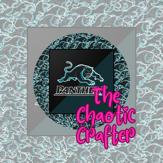 Panthers 20oz Sublimation Transfer ONLY