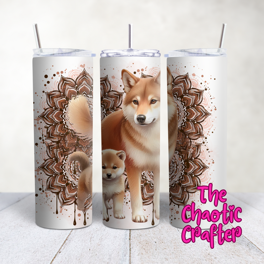 Dingo 20oz Tumbler